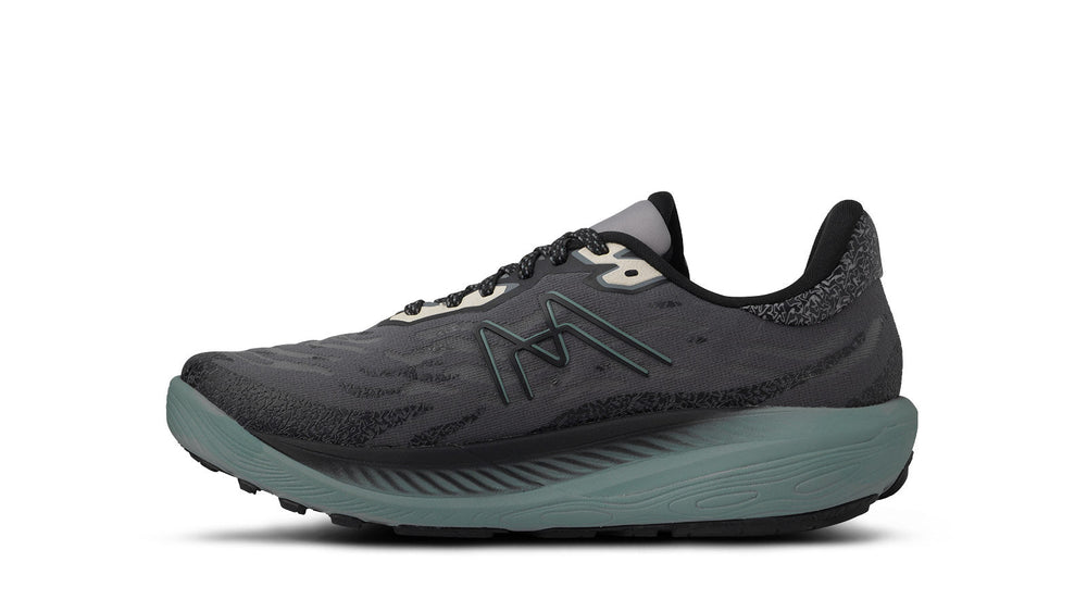 Karhu Men's Ikoni ATR WR Turbulence / Lily Pad