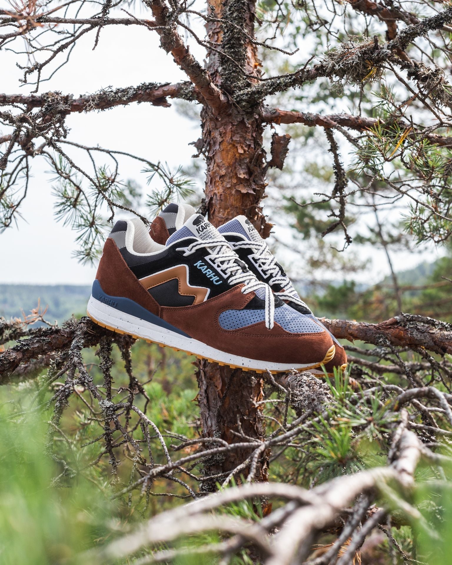 Synchron classic "trees of finland" pack - aztec / brown sugar – Karhu US